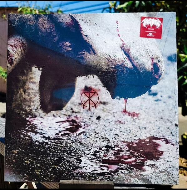 To the Grave- Director's Cuts [ vinyl ]