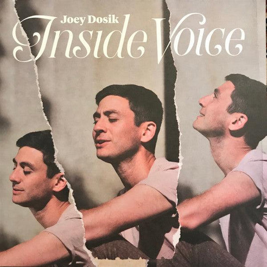 Joey Dosik (Vulfpeck)- Inside Voice [ vinyl ]