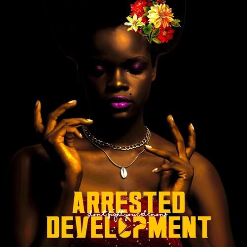 Arrested Development- Don't Fight Your Demons [ vinyl ]